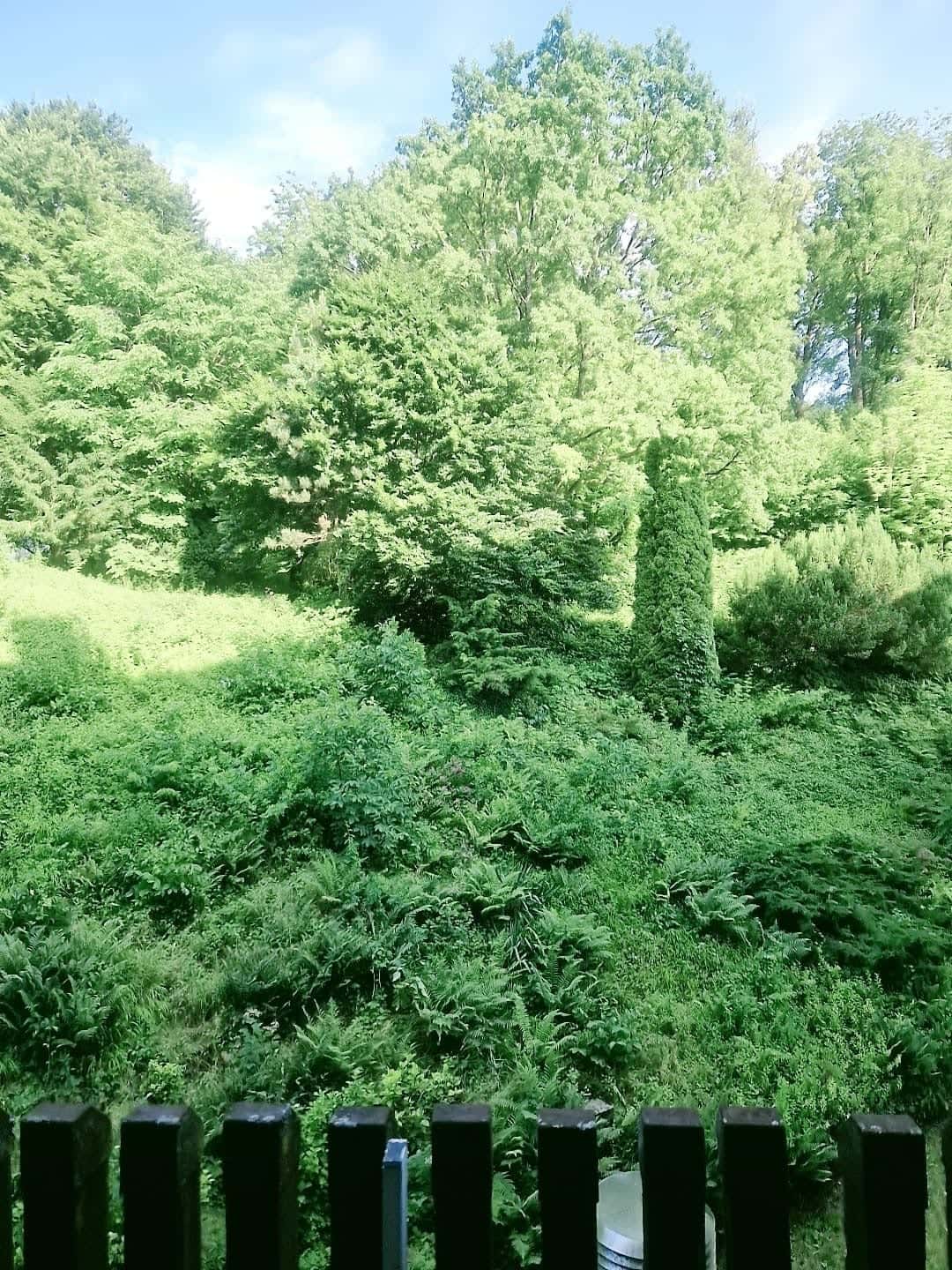 Blick vom Balkon