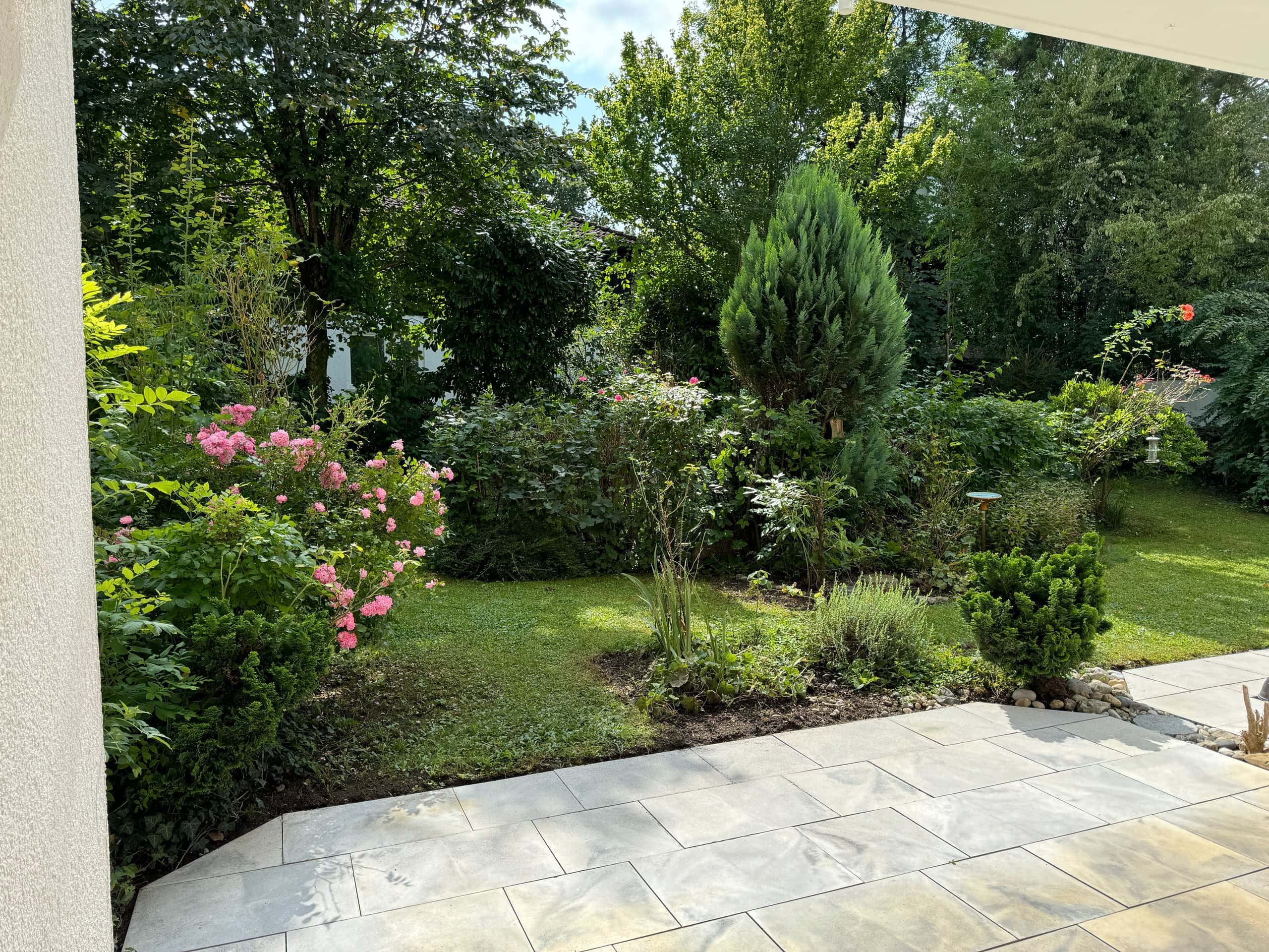 Blick in den Garten