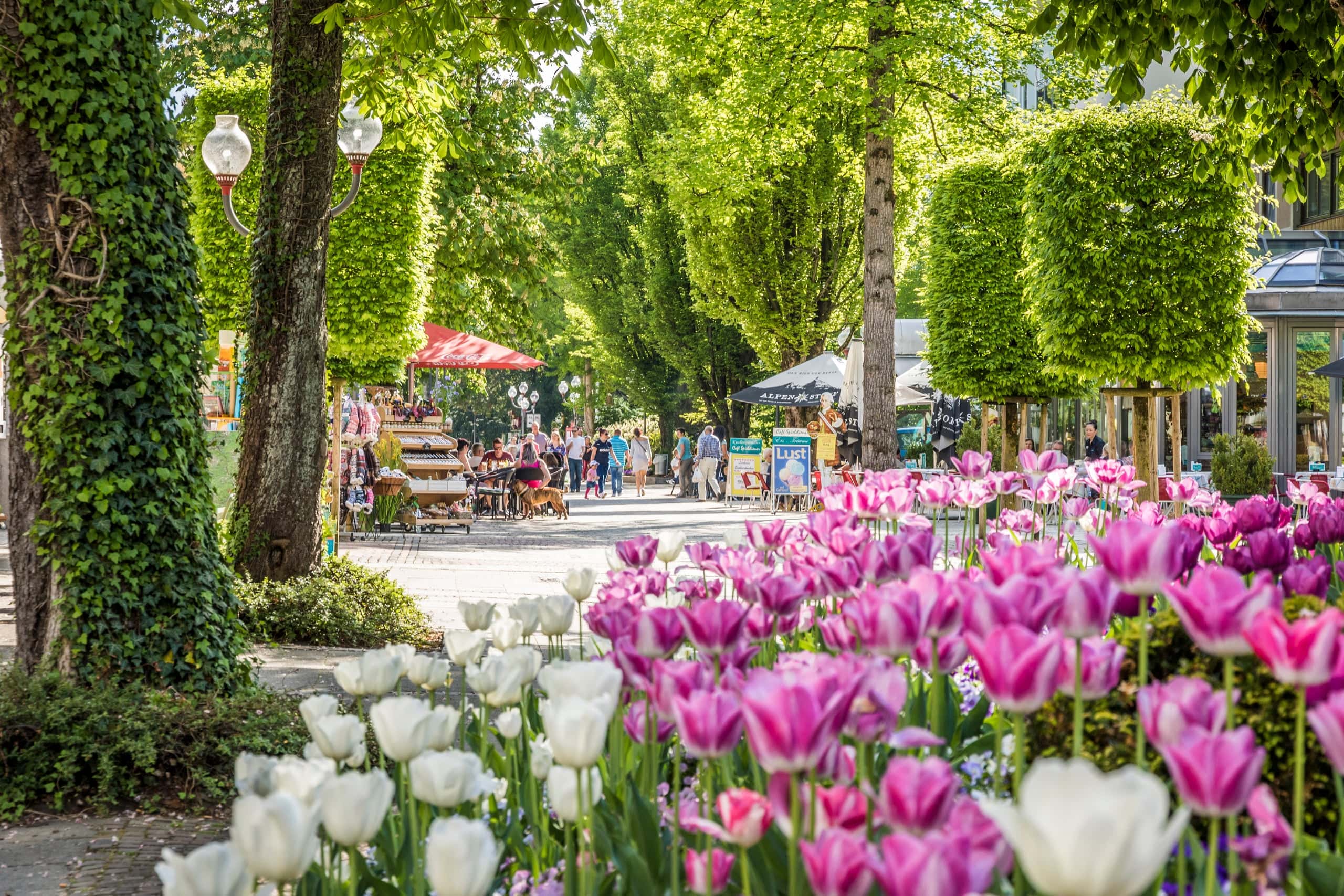 Bad Reichenhall