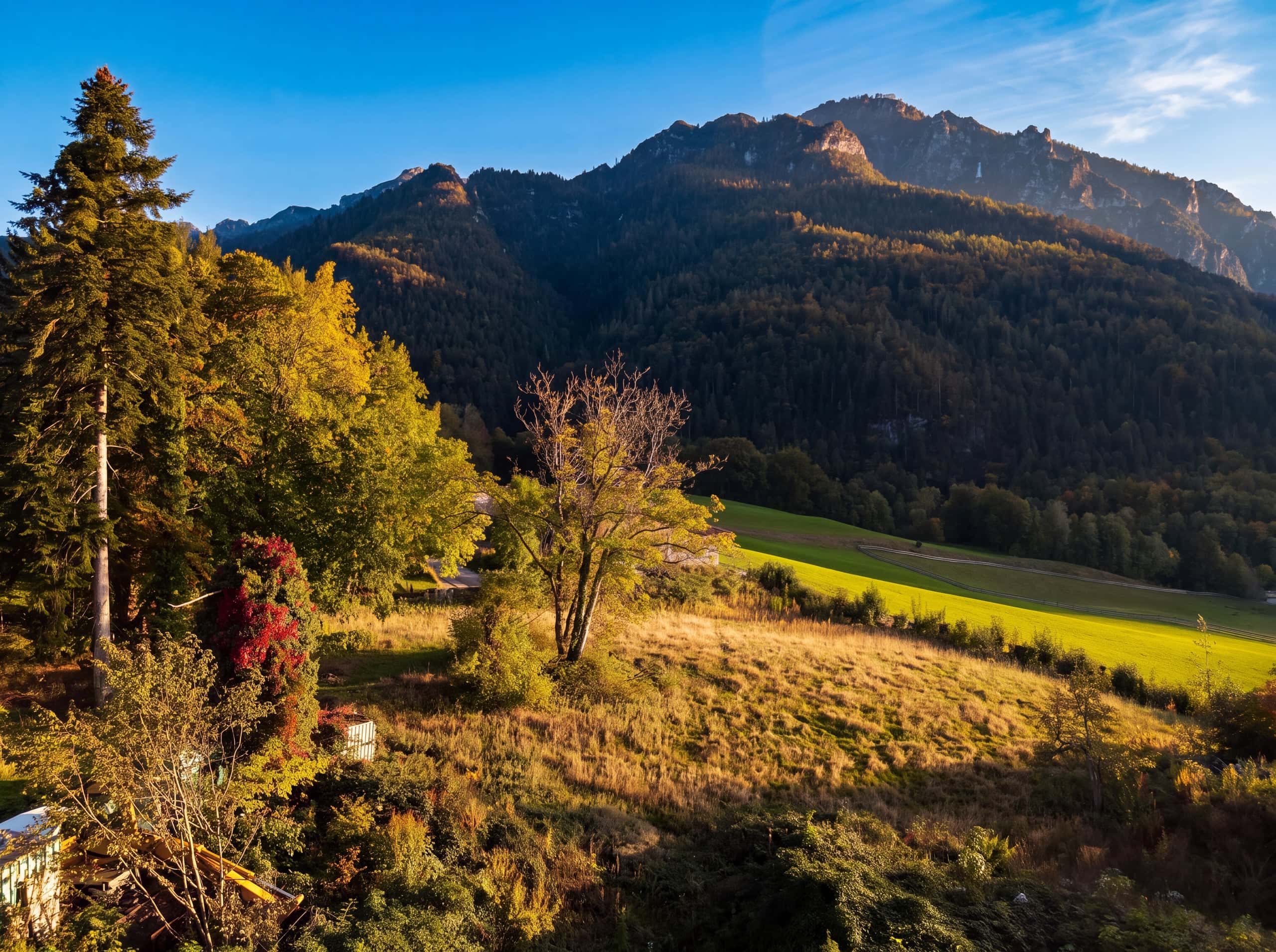 Wohnen kaufen in Bayerisch Gmain — Grundstückansicht