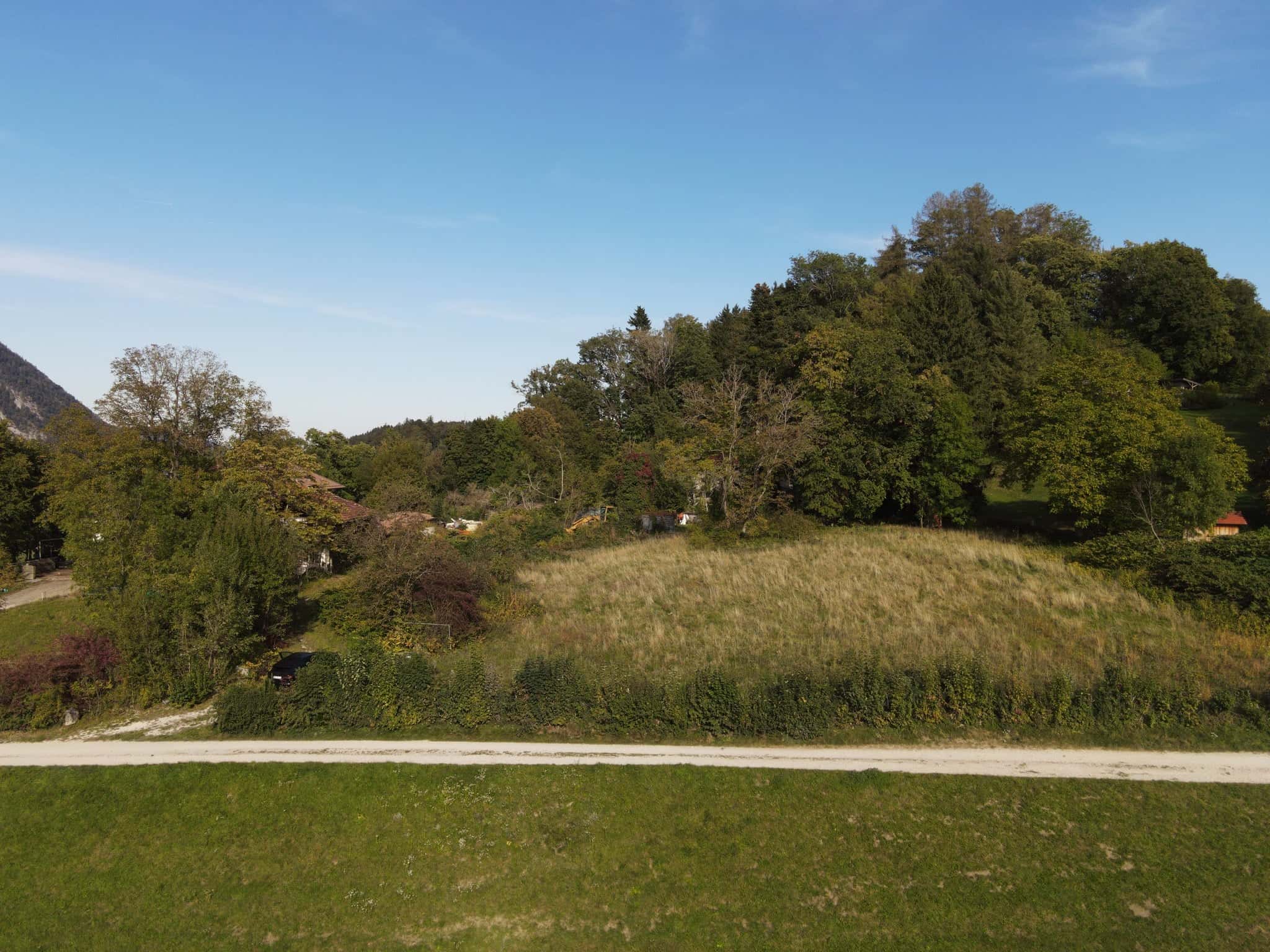 Wohnen kaufen in Bayerisch Gmain — Wiese mit altem Baumbestand (Drohnenaufnahme)