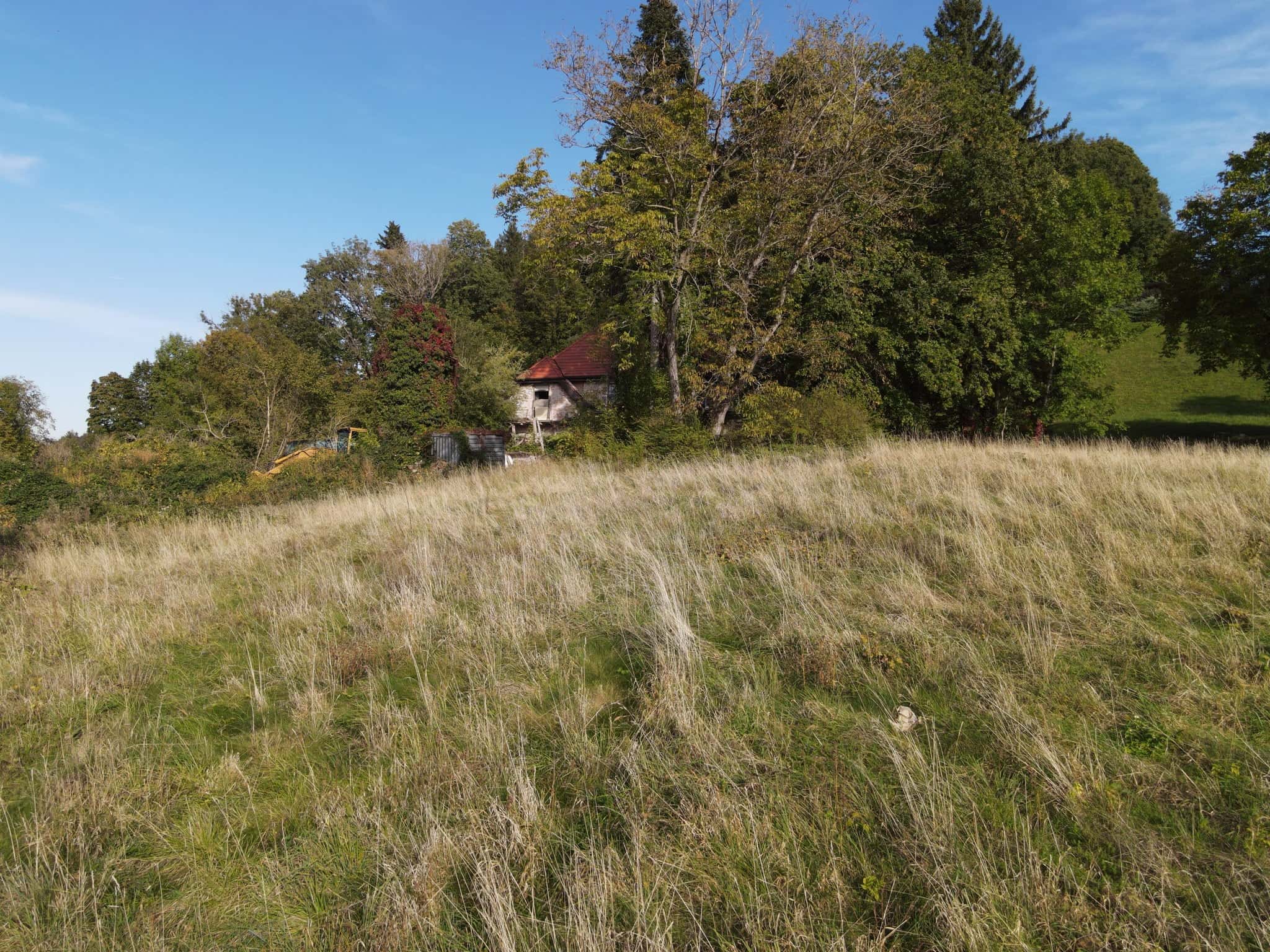 Wohnen kaufen in Bayerisch Gmain — Wiesenfläche mit Blick zur Villa