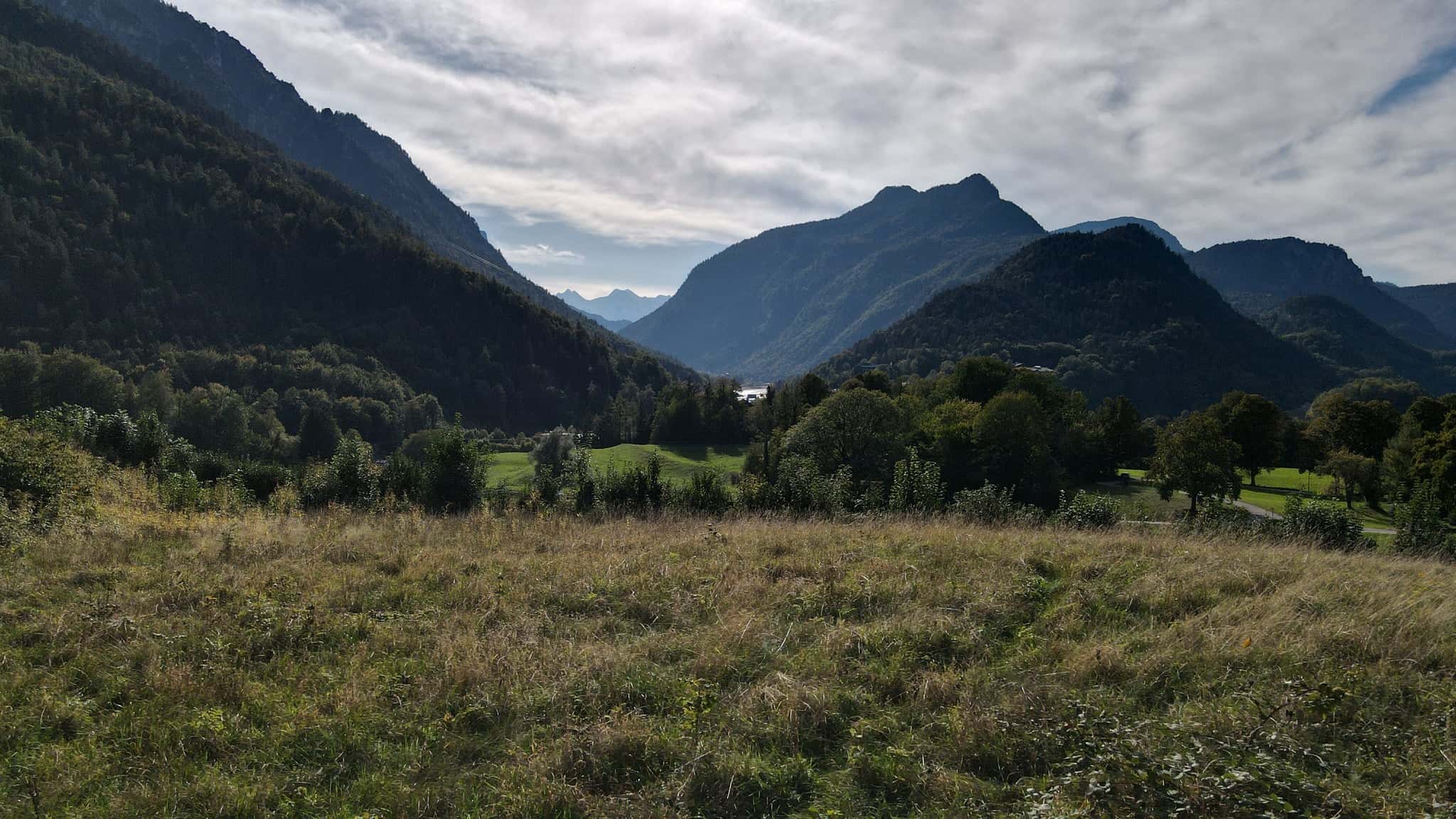 Wohnen kaufen in Bayerisch Gmain — Blick über die Wiese nach Südwesten (Drohnenaufnahme)