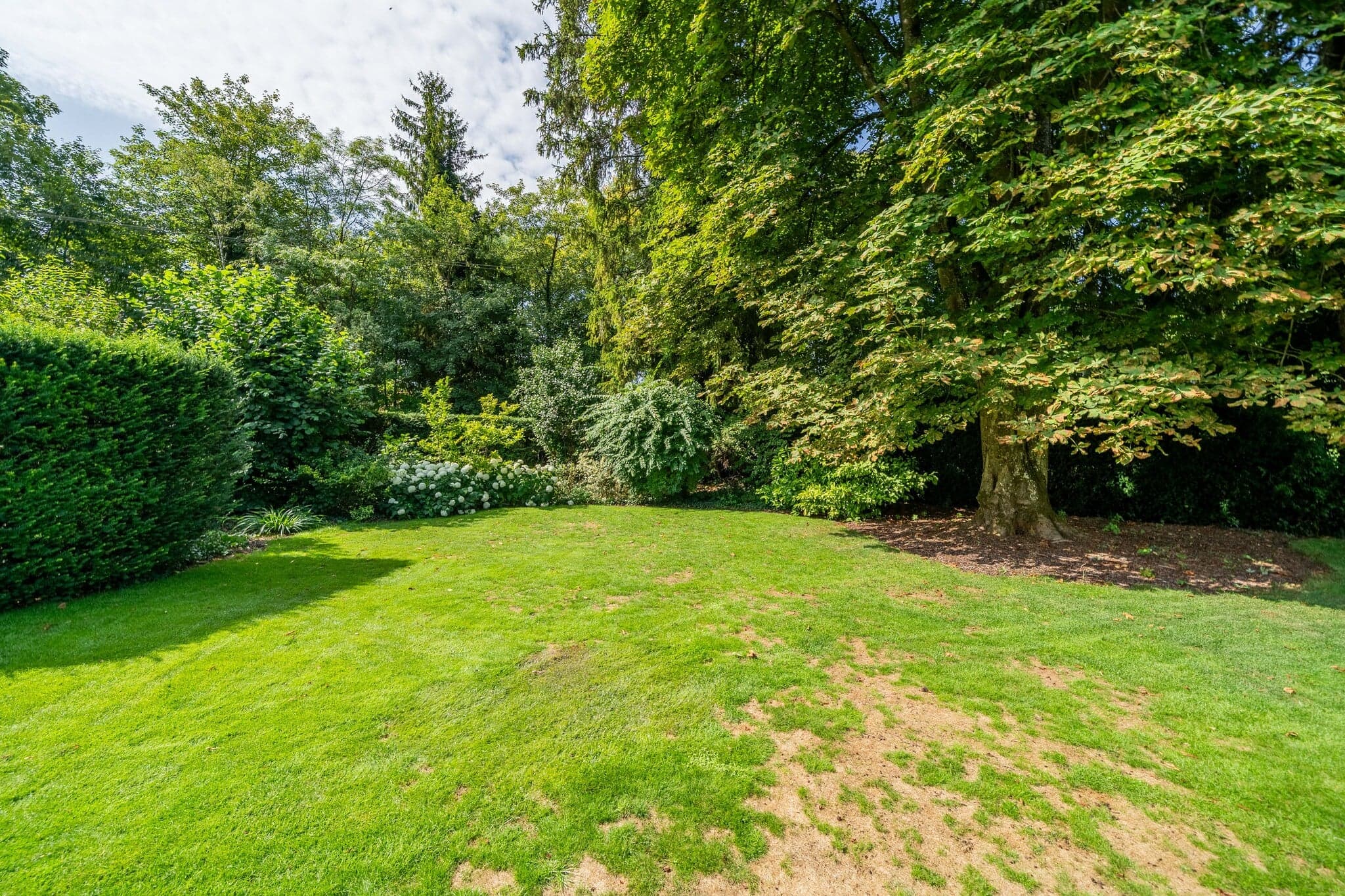Weitläufige Gartenfläche