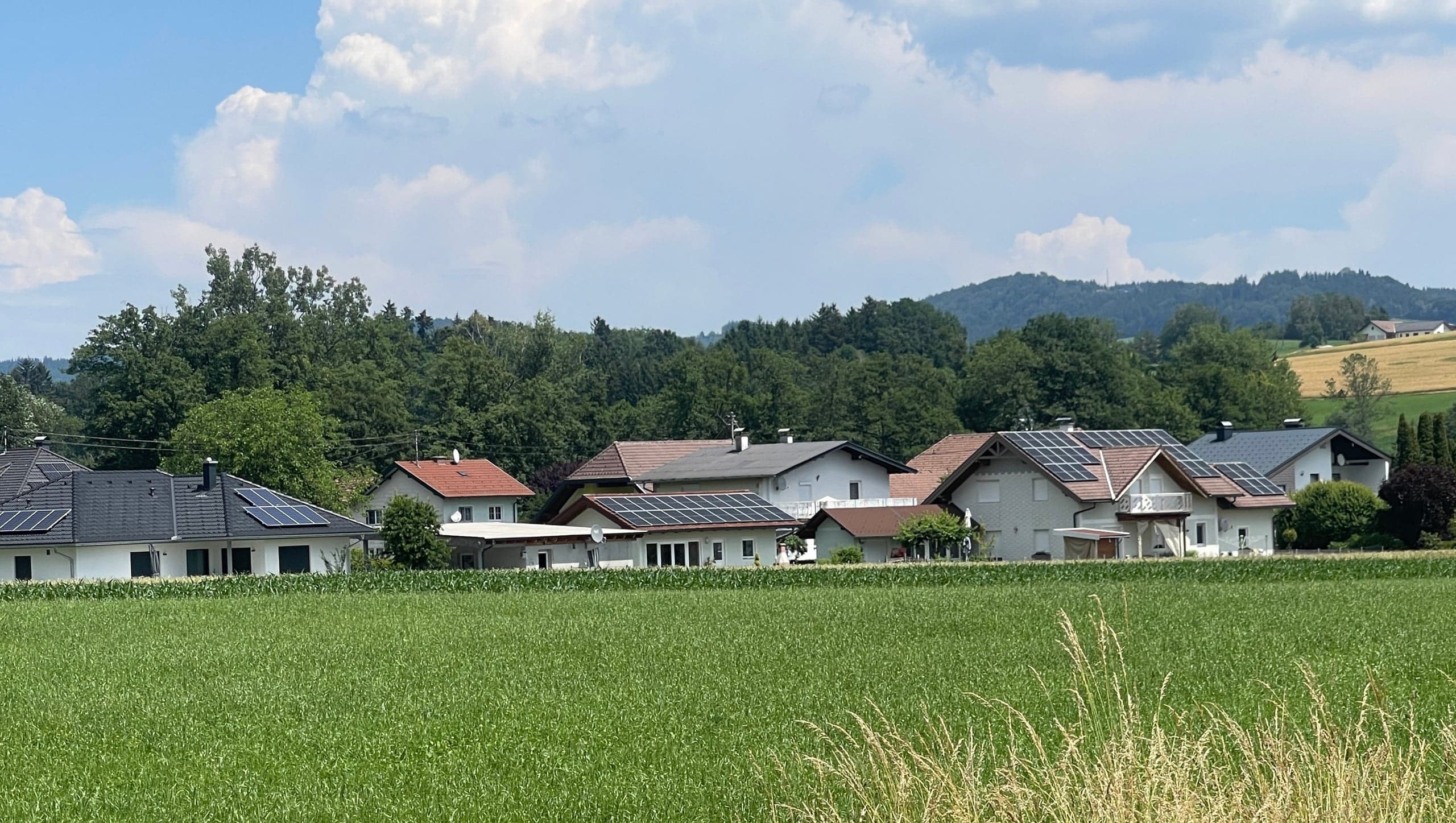 Ansicht Süd.