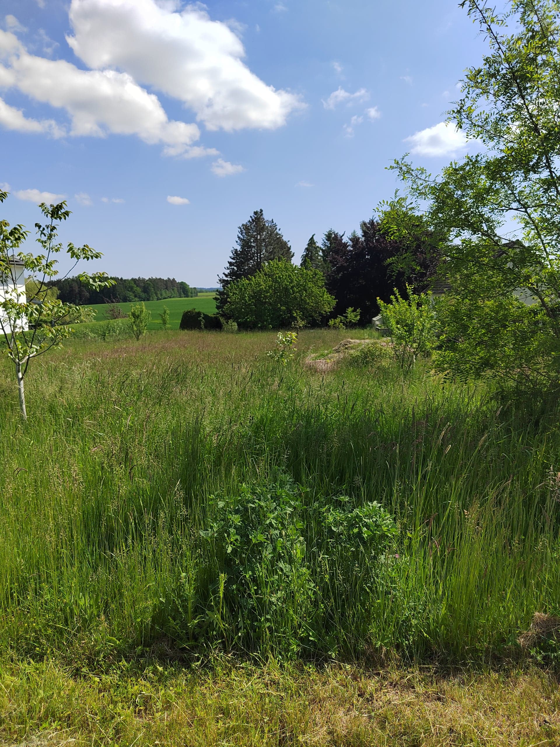 Ausblick