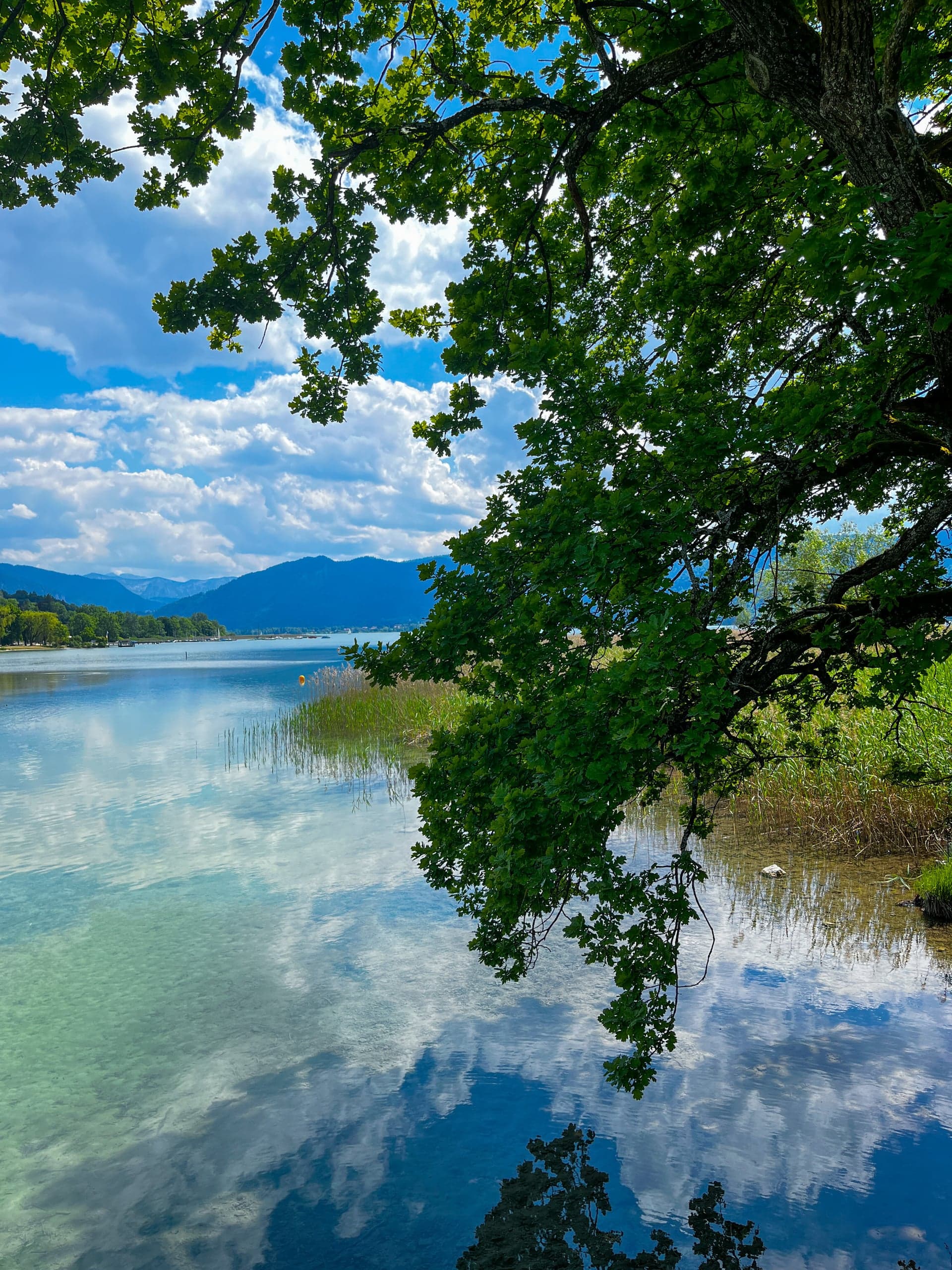 Der idyllische Tegernsee
