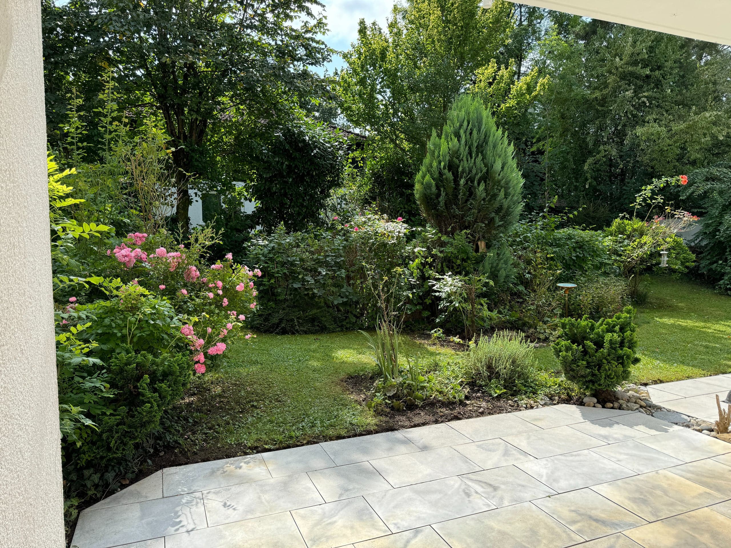 Blick in den Garten