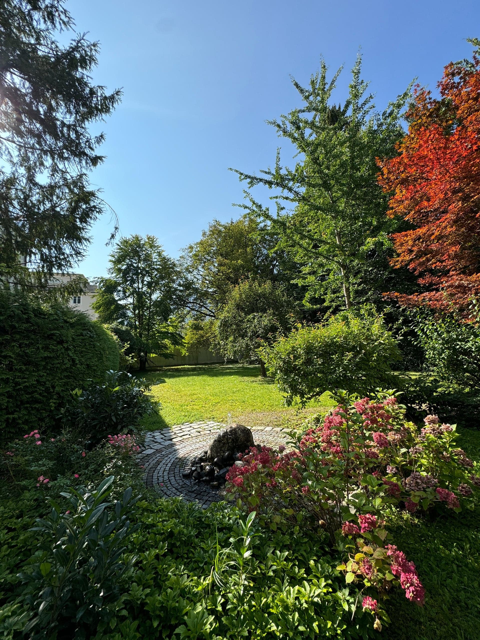 Blick in den Garten