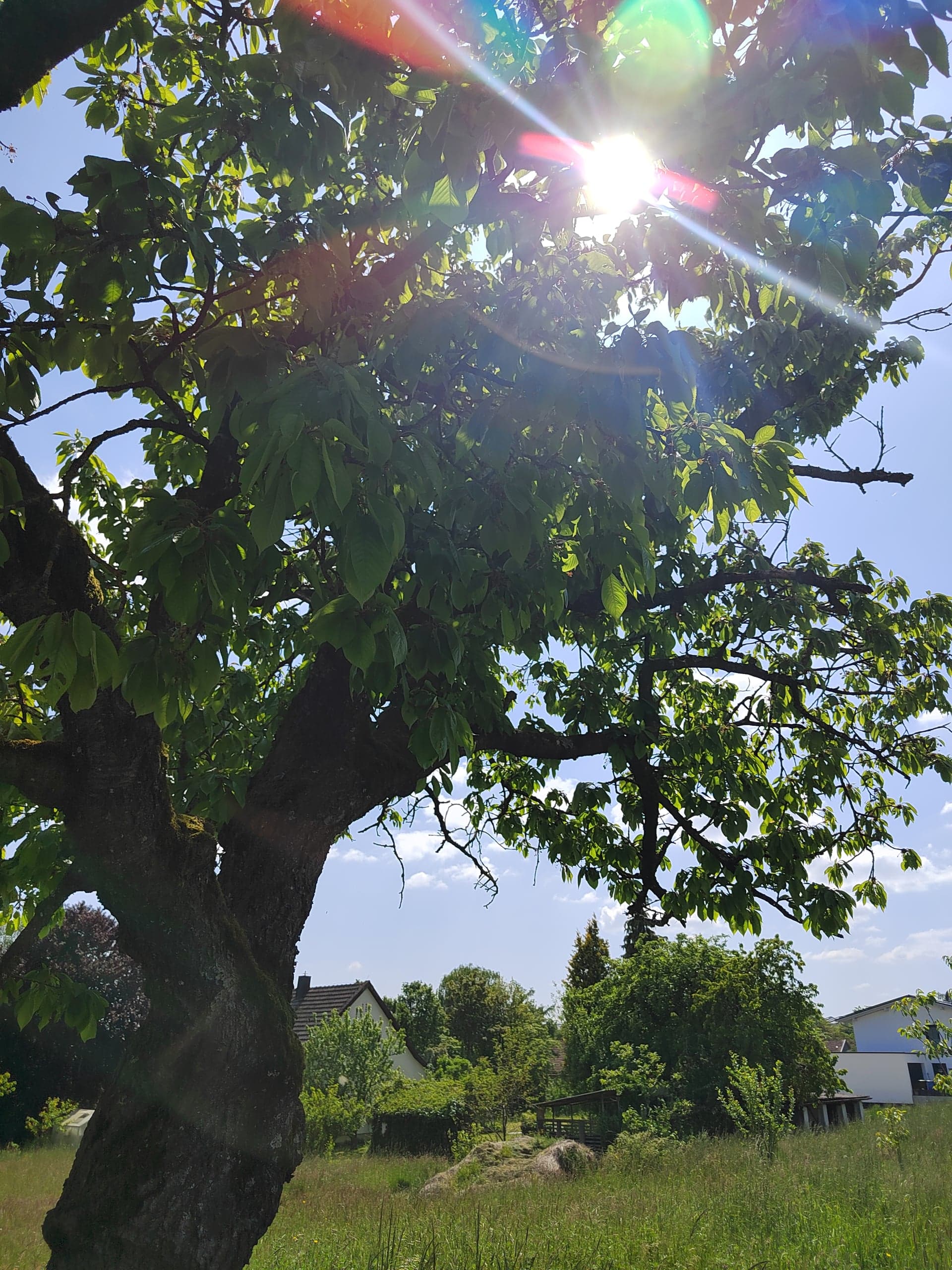 Ausblick