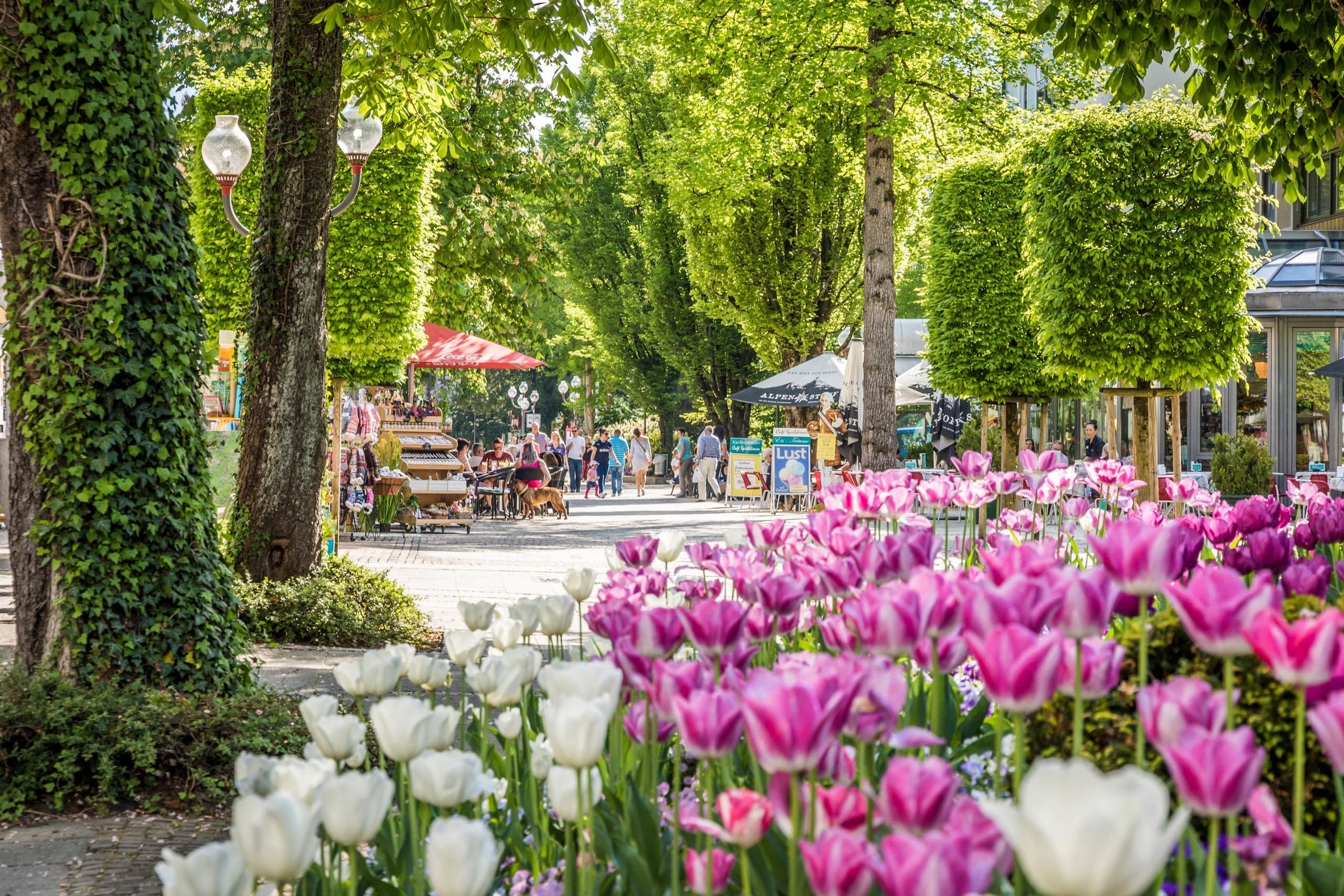 Bad Reichenhall