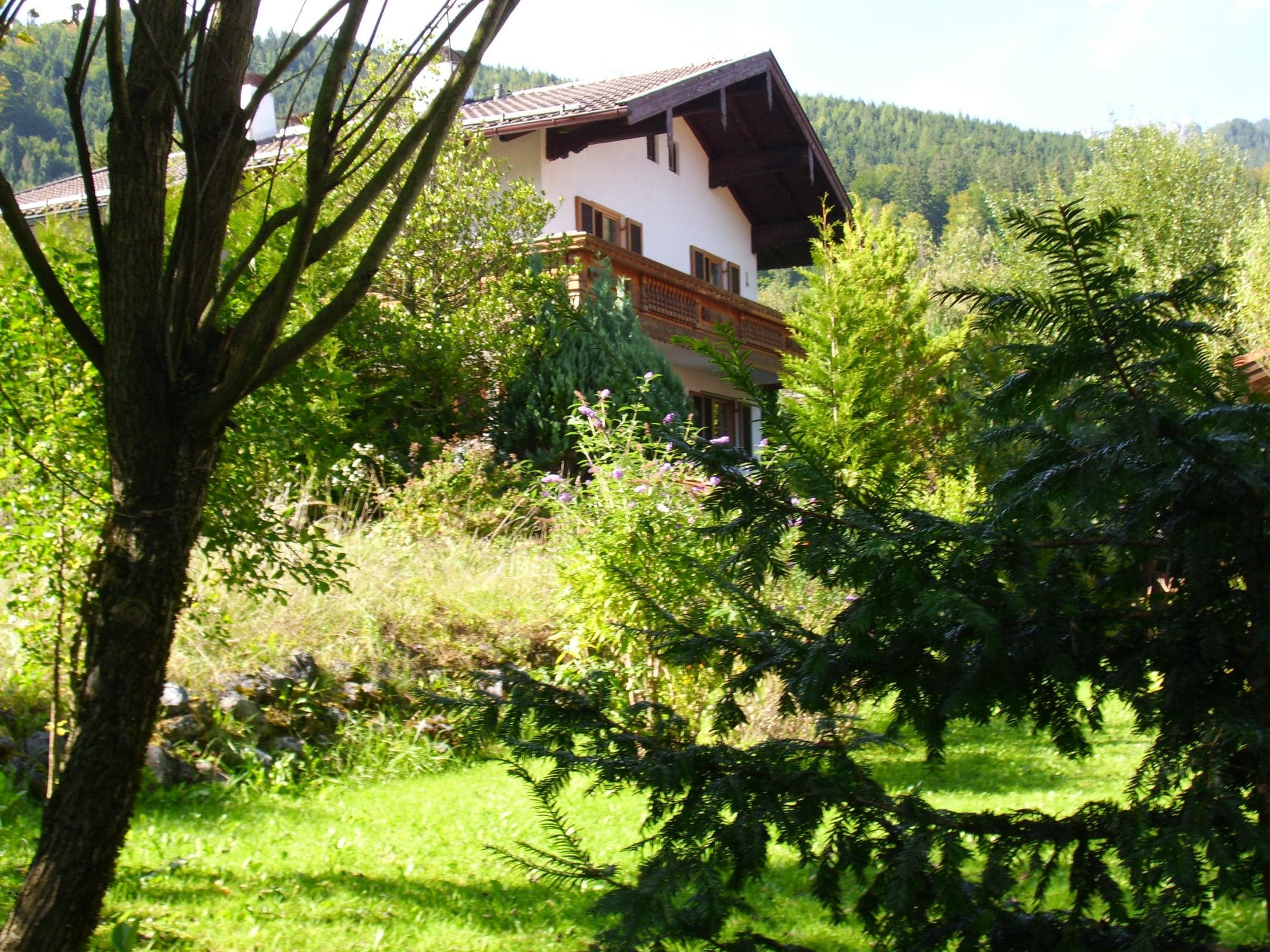 Ansicht - Nord-Ost
