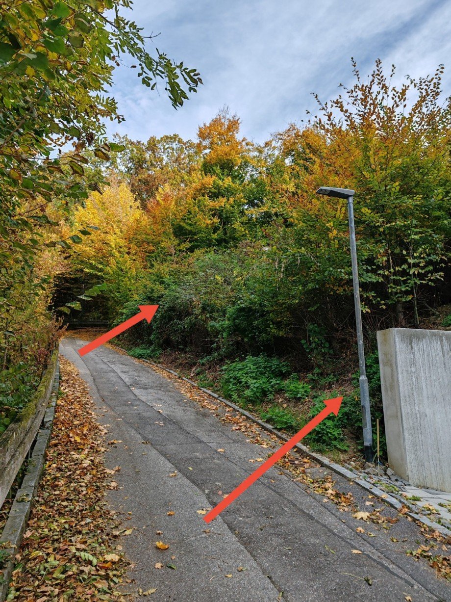 Bild 3 Wohngrundst�ck Pfarrkirchen