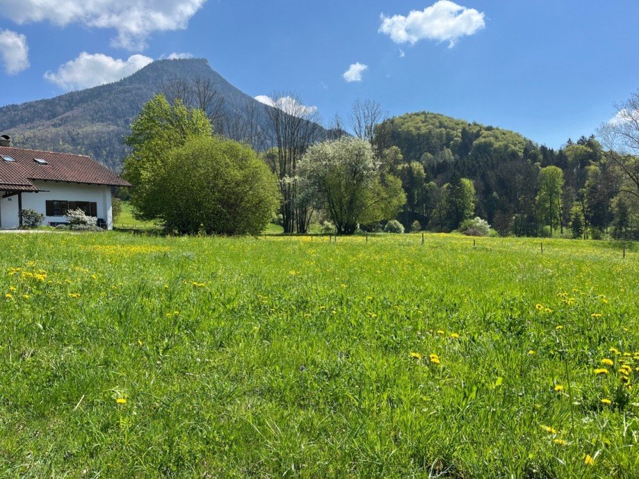 Ansicht 1 Wohngrundst�ck Nu�dorf am Inn