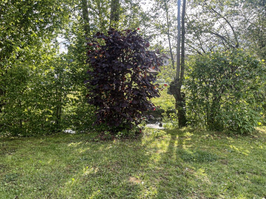 Grenze Bachverlauf Landhaus Munderfing