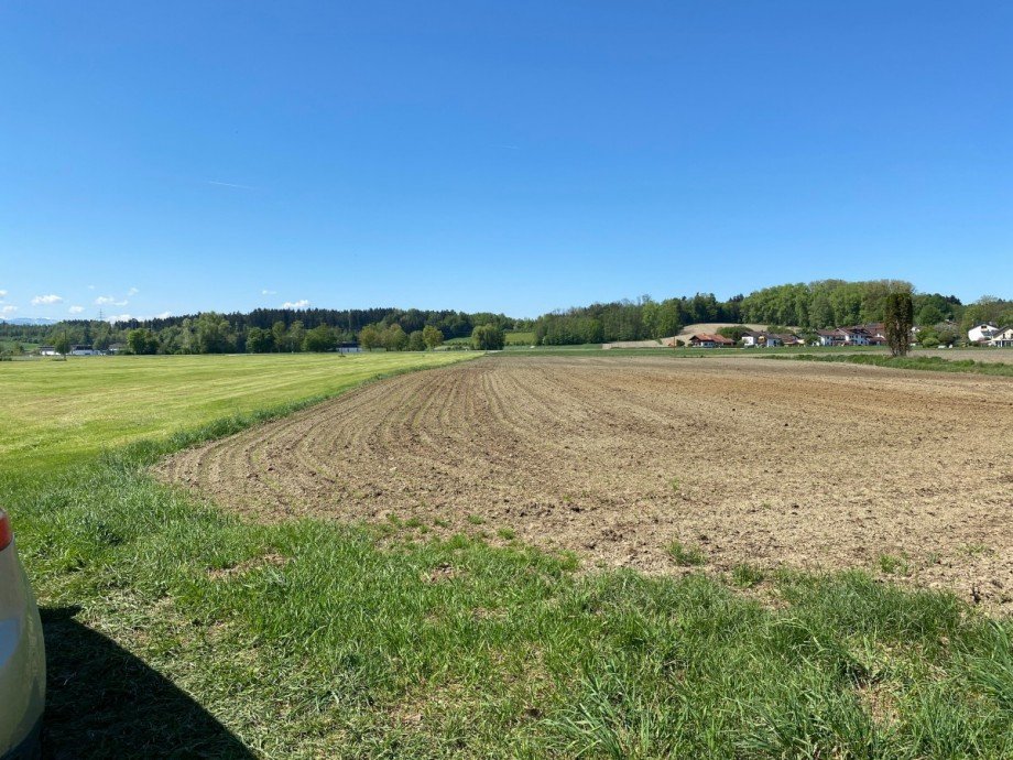 �bersicht auf die Fl�che mit Zufahrt Land- / Forstwirtschaft - Grdst. Schechen