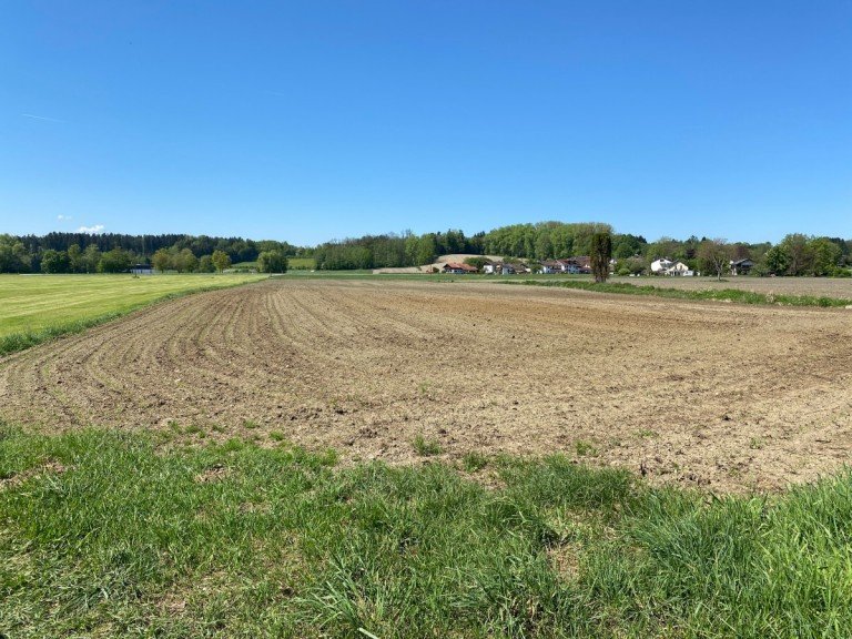 �bersicht auf die Fl�che Schechen Land- / Forstwirtschaft - Grdst. Sch�ne landwirtschaftliche Nutzfl�che